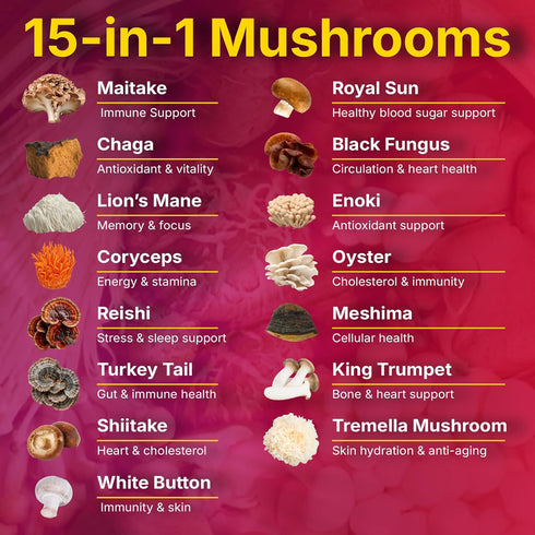 Yi Nutrition 15-in-1 Gummies 10:1 Immunity 90 Gummies Sugar-Free Mushroom Complex Extract - Lion's Mane, Cordyceps