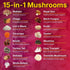 Yi Nutrition 15-in-1 Gummies 10:1 Immunity 90 Gummies Sugar-Free Mushroom Complex Extract - Lion's Mane, Cordyceps