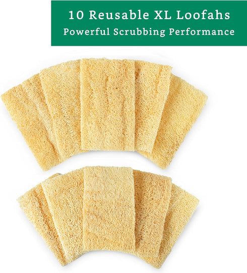 Natural Loofah Kitchen Sponge, XL 10 Pack Natural Sponges for Dishes, Eco Friendly Compostable Biodegradable Kitchen