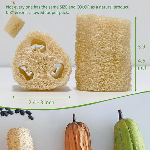 Natural Loofah Sponge, Organic Bath Loofah Pack, Exfoliating Body Scrubber for Women and Men, 6 Pack Shower Loofas
