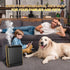 Wankeer 1500 Smart Scent Air Machine for Home, Sq. Ft Hotel Collection Diffuser with Cold Air Tech, Whole House