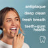 Davids Premium Bamboo Soft Bristle Toothbrush, 3 Pack | Eco-Friendly, Sustainable High Performance