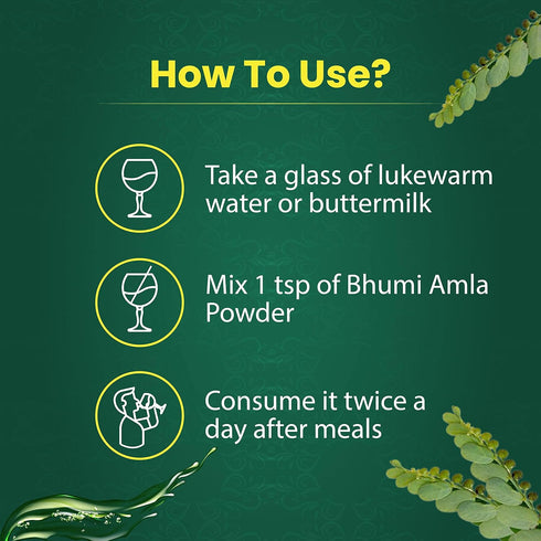 Organic Bhumi Amla Powder - Rich in Antioxidant Vitamin C - Supports Healthy Immune Function 100Gm