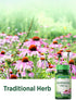 Echinacea Extract Capsules | 1300mg | 100 Count | Non-GMO & Gluten Free by Nature's Truth