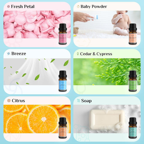 Clean Essential Oils Set - 6x10ML Fragrance Oil for Diffuser, Aromatherapy, Candle & Soap Making - Fresh Petal, Breeze, Citrus, Soap, Cedar&Cypress, Baby Powder Aromatherapy Essential Oil Kit (10mL)