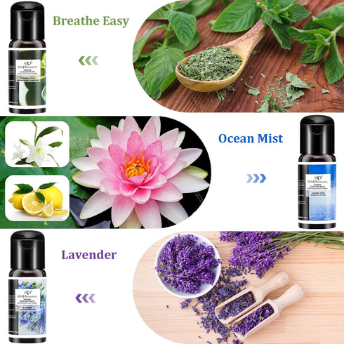 Essential Oils Reborn Aroma Oils Gift Set for Aromatherapy Diffuser, 6 Bottles, 15 ML