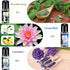 Essential Oils Reborn Aroma Oils Gift Set for Aromatherapy Diffuser, 6 Bottles, 15 ML