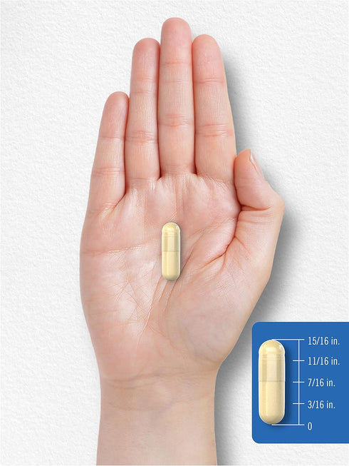 Carlyle Multi Collagen Protein Capsules 2000mg | 300 Count | Type I, II, III, V, X | Gluten Free