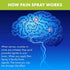Premiere's Pain Spray - All-Natural Menthol & Peppermint Oil Herbal Blend for Joint and Nerve Pain
