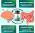 Layer Origin PureHMO Human Milk Oligosaccharide (HMO 2'-FL) Prebiotic - 30-Day Supply, Feed 180 Billion