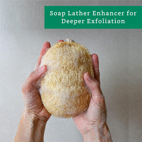 Natural Loofah Exfoliating Sponge (4 Pack) - Organic Biodegradable Body Scrubber