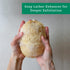 Natural Loofah Exfoliating Sponge (4 Pack) - Organic Biodegradable Body Scrubber