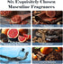 Set, Clean & Masculine Fragrance Oils AmaKane Fragrance Oil for Candle Making, Aromatherapy Essential Oils for Diffuser
