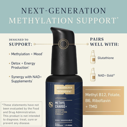 Quicksilver Scientific Methyl Charge - Methylation, Liver, Detox + Energy Supplement with Vegan B Vitamins (50ml)