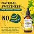 Dandelion Root Tincture - 2oz Liquid Drops for Liver Detox Cleanse & Support - Dandelion Root Extract Supplement