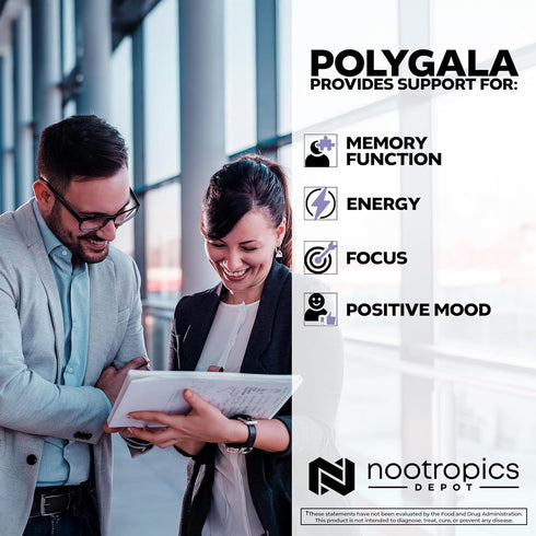 Nootropics Depot Polygala tenuifolia Capsules - 100mg - 90 Count - 20:1 Extract - Supports Cognitive Function and Stress