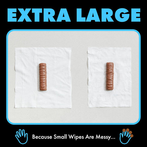 DUDE Wipes - Flushable Wipes - 1 Pack, 48 Unscented Extra-Large Adult Wet Wipes with Vitamin-E & Aloe
