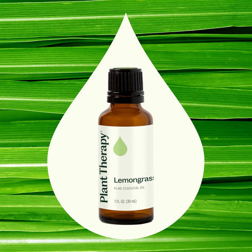 Plant Therapy 100% Pure Lemongrass Essential Oil, Natural Aromatherapy for Diffuser and Skin, 30 mL (1 oz)
