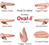 Oval-8 Multi-Size Pack of 3 Sizes 10, 11, 12
