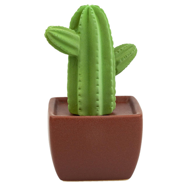 Maxi Cactus, Non-Electric Ceramic Diffusers for Essential Oils and Aromatherapy Fragrance, White