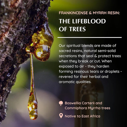 Frankincense & Myrrha Natural Resin Mist Spray by Aromafume, 100 ml / 3.3oz, Ideal for Deep Relaxation
