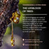 Frankincense & Myrrha Natural Resin Mist Spray by Aromafume, 100 ml / 3.3oz, Ideal for Deep Relaxation