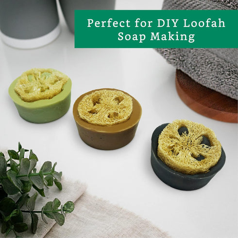 Natural Loofah Slices for Soap Making, 20 Pack, Organic Loufa Cuts, Bulk Luffa Supplies