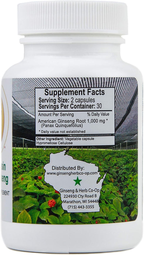 100% Pure Wisconsin American Ginseng Capsules - 500mg Authentic Panax Quinquefolius, No Fillers or Additives