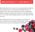 Whole Food Vitamin C Gummies for Adults & Kids, 2 Pack, Zero Sugar, 100% Natural, Immune & Collagen Support