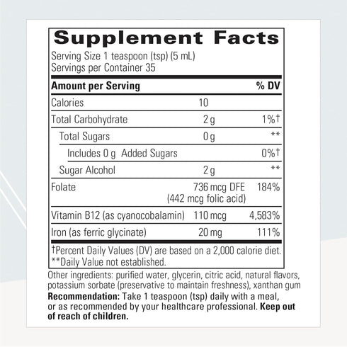 Integrative Therapeutics Liquid Iron - Vegan Iron Supplement with Vitamin B12 & Folate, 6 fl oz, Apple Cinnamon