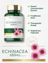 Carlyle Echinacea 650mg Capsules - 120 Count Non-GMO & Gluten Free Supplement