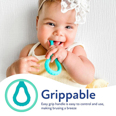 Dr. Talbot's 2-Piece Infant Toothbrush Training Set, Easy Grip Handle for 6+ Months