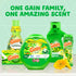 Gain Liquid Laundry Detergent Soap, Original Scent, 90 Loads, 65 Fl Oz (Pack of 2)