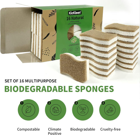 16 Pack Biodegradable Natural Kitchen Sponge - Compostable Cellulose and Coconut Walnut Scrubber Sponge - Eco Friendly Sustainable Sponges for Dishes by KICKLEEN