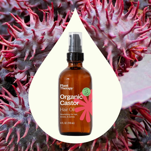 Plant Therapy Castor Oil - USDA Organic Cold Pressed 4 oz Conditioning Oil for Hair Growth & Dry Skin