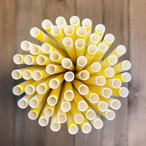 12 Ounce Disposable Paper Treat Cups, Ice Cream Bowls, Plastic Spoons, Paper Straws - Ice Cream Sundae Kit for 24,