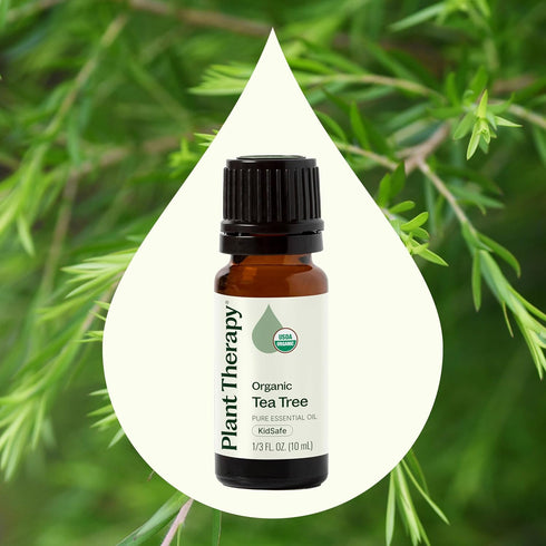 Plant Therapy Organic Tea Tree Oil (Melaleuca) 100% Pure, 10 mL, USDA Certified Organic