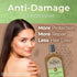 Tio Nacho Aloe Vera Deep Repair Conditioner, 100% Organic Aloe Vera and Royal Jelly for Hair, 14 Oz