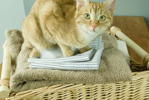 Purecosheet Reusable Dryer Sheets, Chemical Free & Vegan, Safe for Infants, 2 Count, 500+ Loads