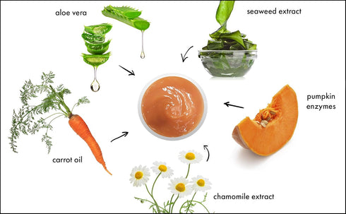 Raya Pumpkin Enzyme Facial Puree (127), Gentle Exfoliating Treatment for All Skin, Reduces Fine Lines