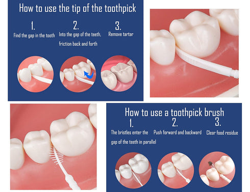 Plastic Toothpicks: Home Teeth Cleaning Tool, Double-ended Toothpicks, Interdental Toothpicks, Pack of 480