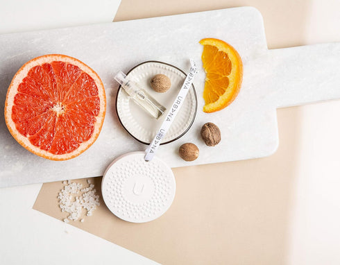 Home Collection Fragrance, Ceramic Stone Diffuser + Mini Fragrance Oil Spray (0.1 fl oz), Citrus + Seed