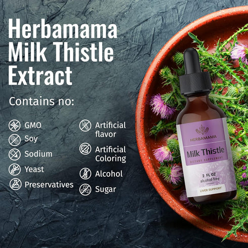 HERBAMAMA Milk Thistle Liquid Drops, Organic Milk Thistle Seed Tincture for Liver Detox, Alcohol-Free - 2 fl oz