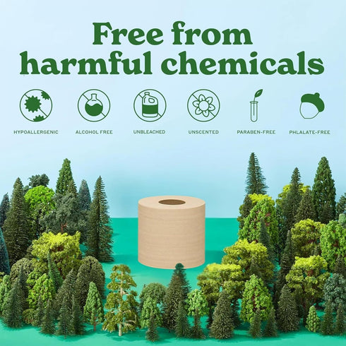 Packaging, 2 Pack 12 300 Caboo Tree Free Unbleached Toilet Paper | Plastic Free Septic Safe, Eco Friendly, Chemical