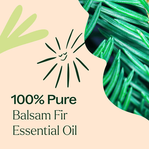 Plant Therapy Balsam Fir Essential Oil – 30 mL (1 oz) 100% Pure, Undiluted, Therapeutic Grade