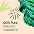 Plant Therapy Balsam Fir Essential Oil – 30 mL (1 oz) 100% Pure, Undiluted, Therapeutic Grade