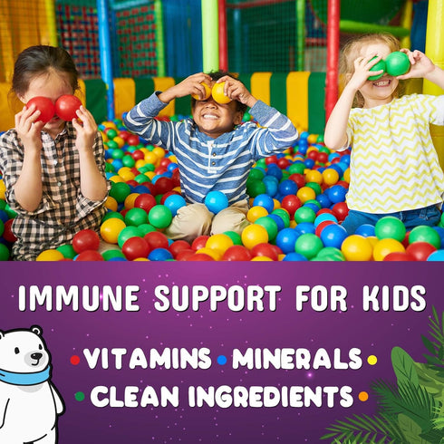 Immune Support Gummies for Kids & Toddlers, 120 Gummies, with Vitamin C, Zinc & Echinacea, Natural Berry Flavor
