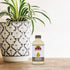 Okay Vitamin E Oil, All Natural, 1 Fl Oz, For All Hair Textures & Skin Types