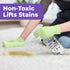 Mighty Mint Carpet Spot Cleaner, 16oz Non-Toxic Spray with Natural Peppermint Scent to Remove Carpet Stains Instantly