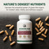 MORNING RISE 90 (1) Regenerative Beef Organ Blend - Grass-Fed Beef Organ Supplement for Daily Energy, Focus & Vitality